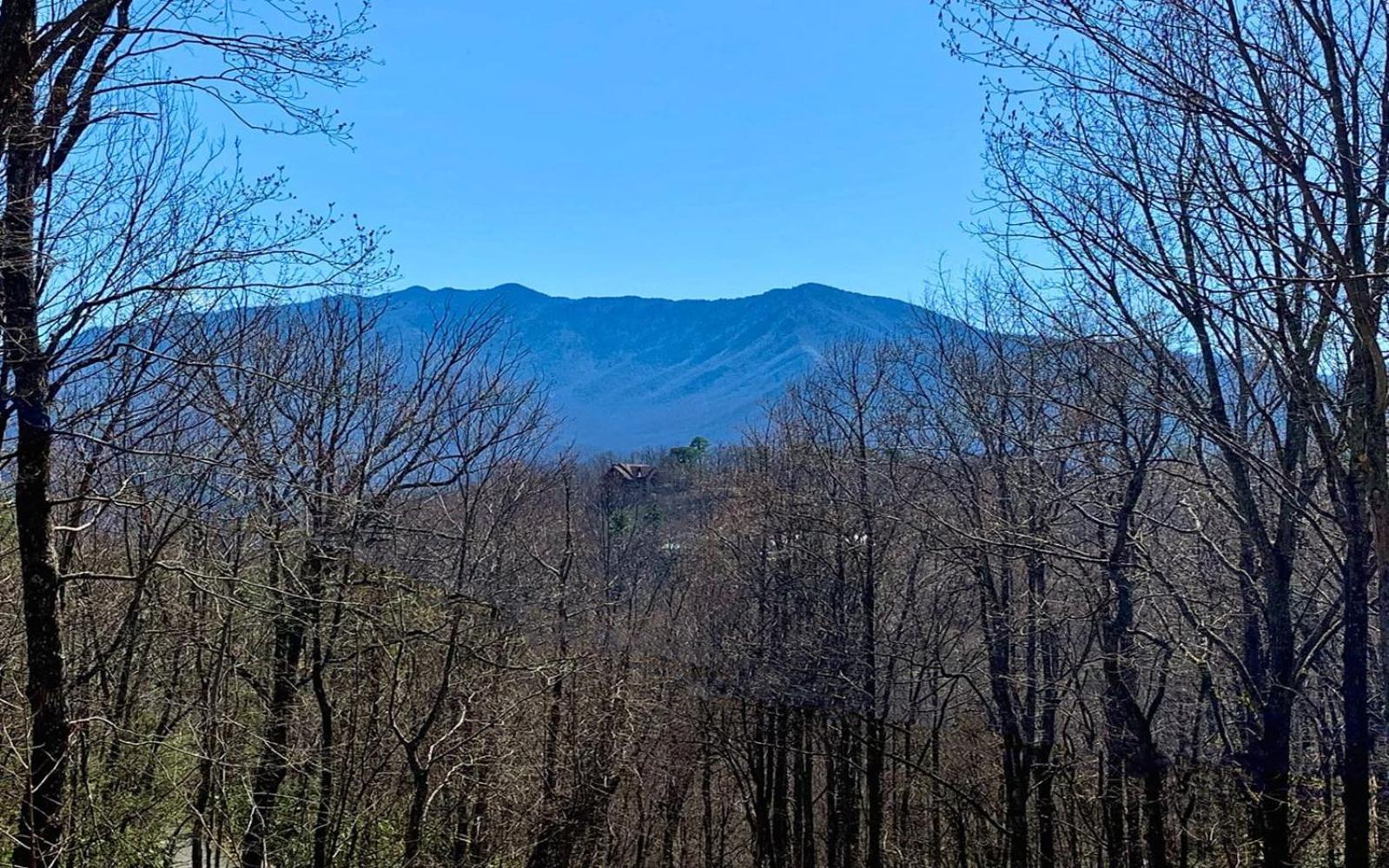 Grand Ole Chalet - Mt Viewsfireplacefirepitarcade Gatlinburg Bagian luar foto