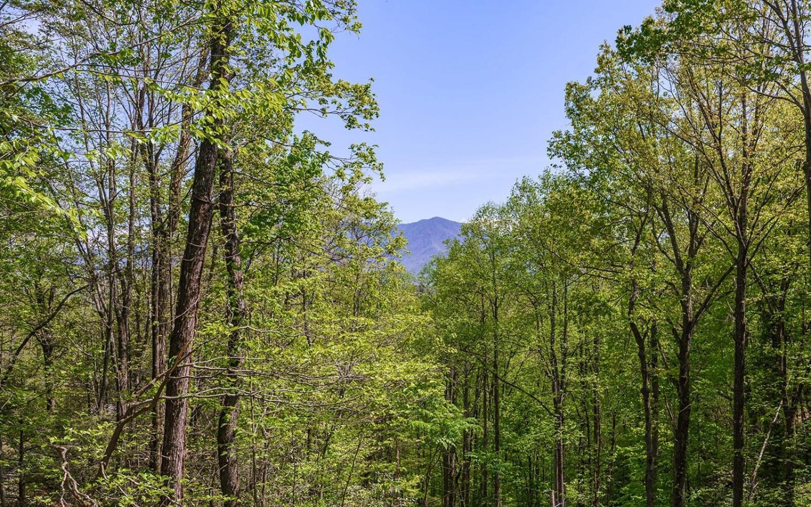 Grand Ole Chalet - Mt Viewsfireplacefirepitarcade Gatlinburg Bagian luar foto